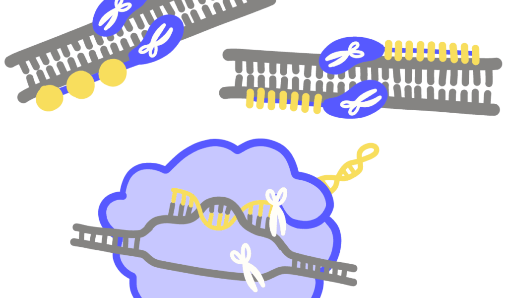 Genética y genómica